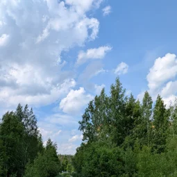 Фото с Тёмная сторона Кальтино