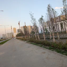 Фото с Вечер: Пересохшие ручьи