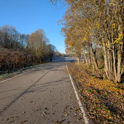 Фото с Котельская осень
