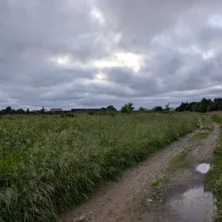 Фото с Вечер: Заросший университет