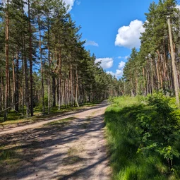 Фото с Гром через Финскую Призму
