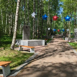 Фото с НБ: Тосненский