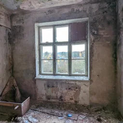 Фото с Прогулка около Виипури