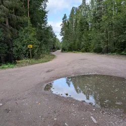 Фото с Киви Выбирает Блинчики