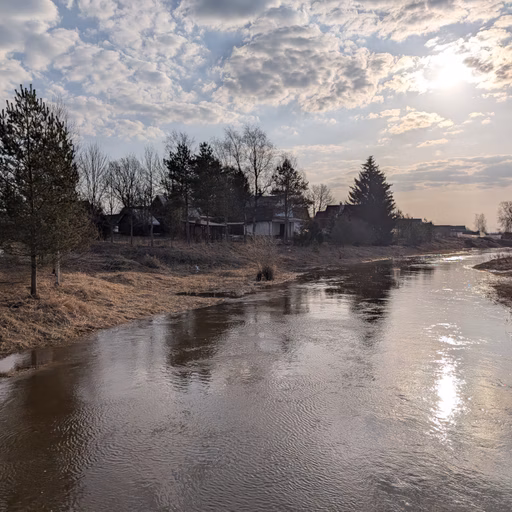 Фото с БК: Первый Весенний
