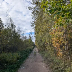 Фото с Осень на все 100