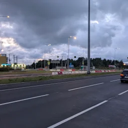 Фото с Вечер: Северные Муравейные Холмики