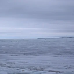 Фото с Весна не у окна