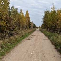 Фото с БК: Тёссанные приключения