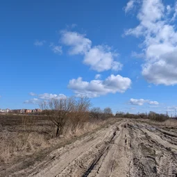 Фото с БК: Дорога в Саблино