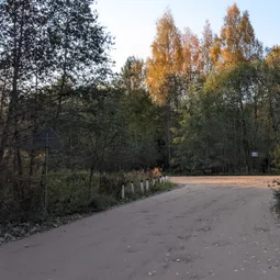 Фото с БК: Тёссанные приключения
