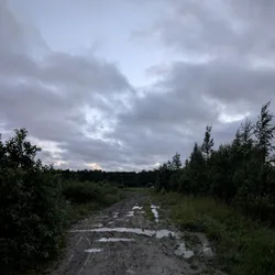 Фото с Вечер: Заросший университет
