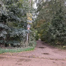 Фото с Осень на все 100