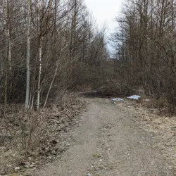 Фото с БК: Finding Beauty
