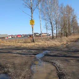 Фото с БК: Первый Весенний