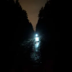 Фото с Вечер: Бургер на Коле