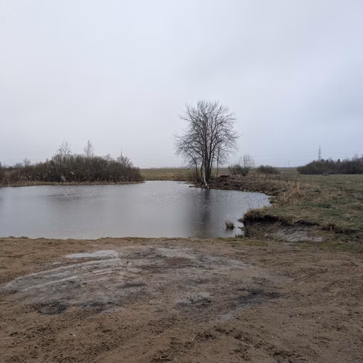Фото с Ручеёк течёт в Саблино