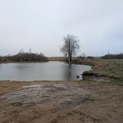Фото с Ручеёк течёт в Саблино
