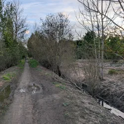 Фото с Вечер: Сливовые Горы