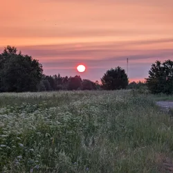 Фото с Фирма: Волховский фронт - ночь
