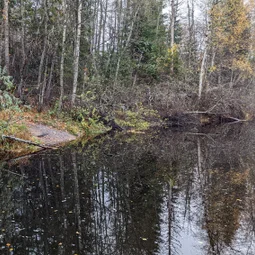 Фото с Прогулка около Виипури