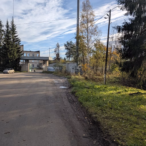 Фото с БК: Ульяновская Назия