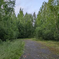 Фото с Вечер: Заросший университет