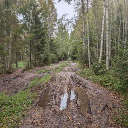Фото с Осень на все 100