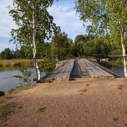 Фото с Киви Выбирает Блинчики