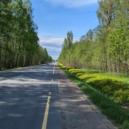 Фото с НБ: Тосненский
