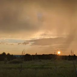 Фото с Победы наши славные