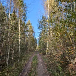 Фото с Осень на все 100