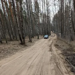 Фото с БК: Finding Beauty