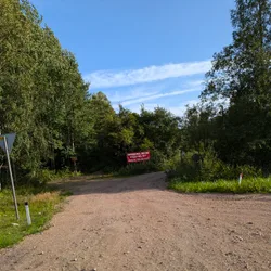 Фото с Киви Выбирает Блинчики