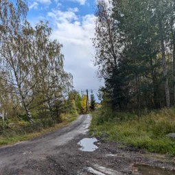 Фото с Осень на все 100