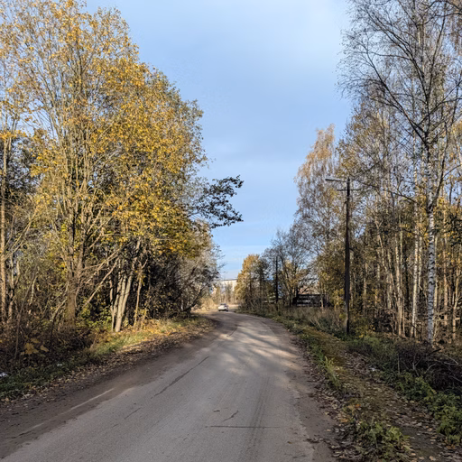 Фото с БК: Ульяновская Назия