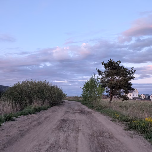 Фото с Вечер: Ванильный Петергофский