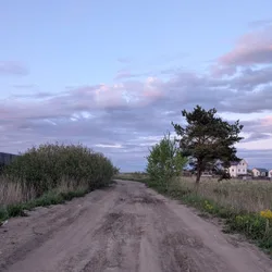 Фото с Вечер: Ванильный Петергофский
