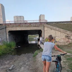Фото с Вечер: Пересохшие ручьи