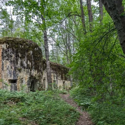 Фото с Выыыборги и то что северней