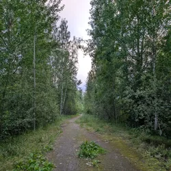 Фото с Вечер: Заросший университет