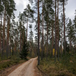 Фото с Финский гром