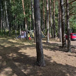 Фото с Киви Выбирает Блинчики