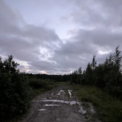 Фото с Вечер: Заросший университет
