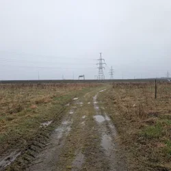 Фото с Ручеёк течёт в Саблино
