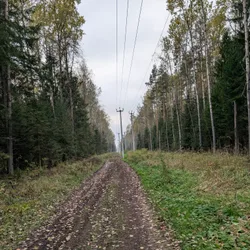Фото с Радио "Назия"