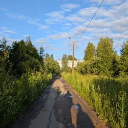 Фото с Вечер: Заросший университет
