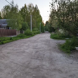 Фото с НБ: Тосненский
