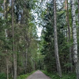 Фото с Вечер: из Зелёной Рощи
