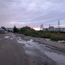 Фото с Вечер: Сливовые Горы